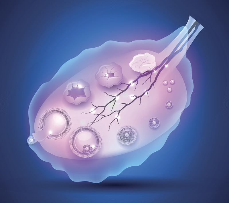 2026年长沙冷冻卵子与试管婴儿医院排名前五解析：中信湘雅、湘雅医院等机构深度对比